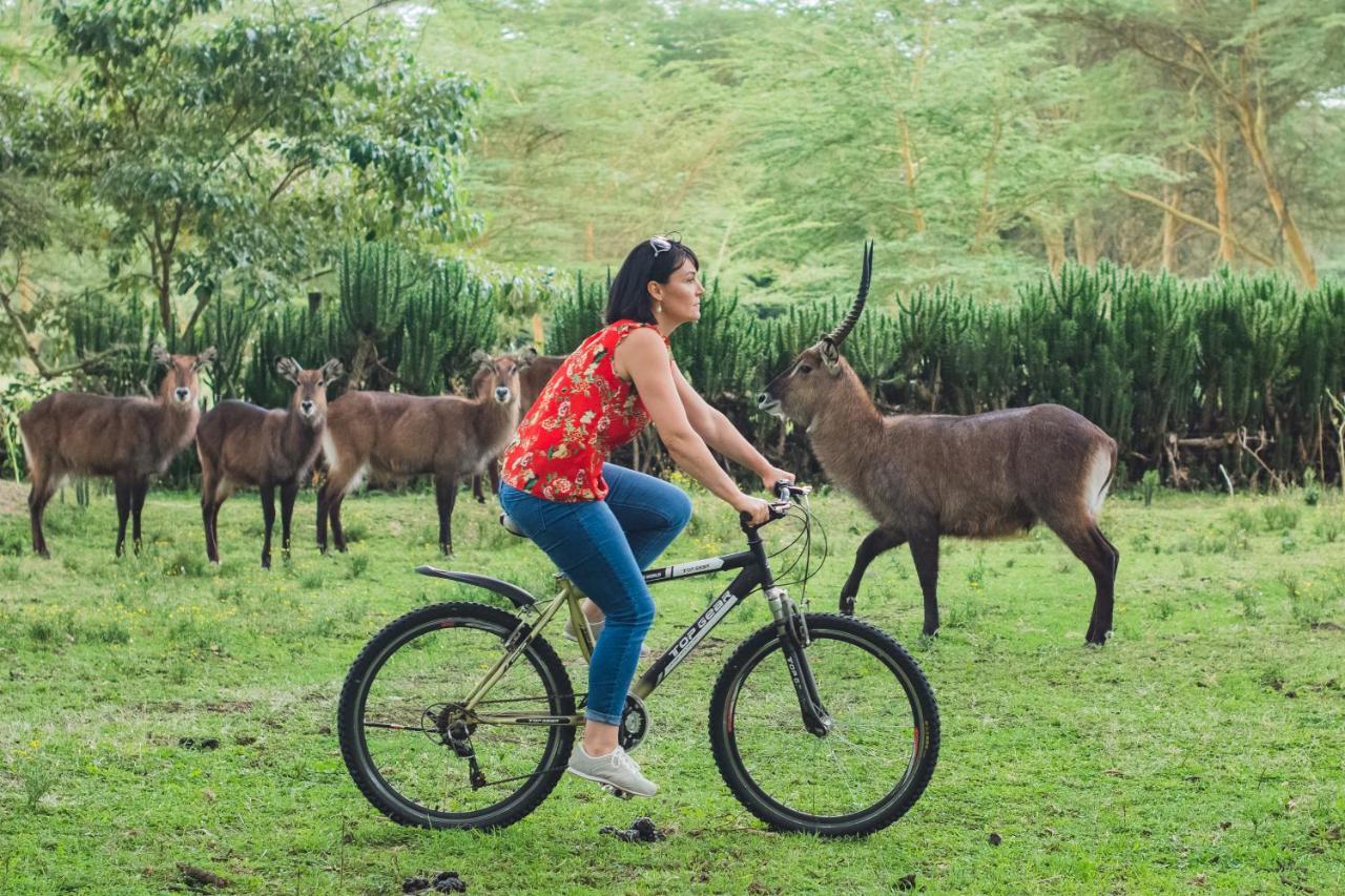 Enashipai Resort & Spa Naivasha Zewnętrze zdjęcie